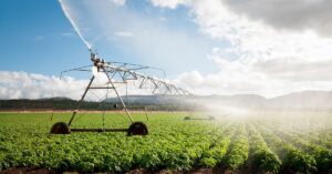 Crop Specials